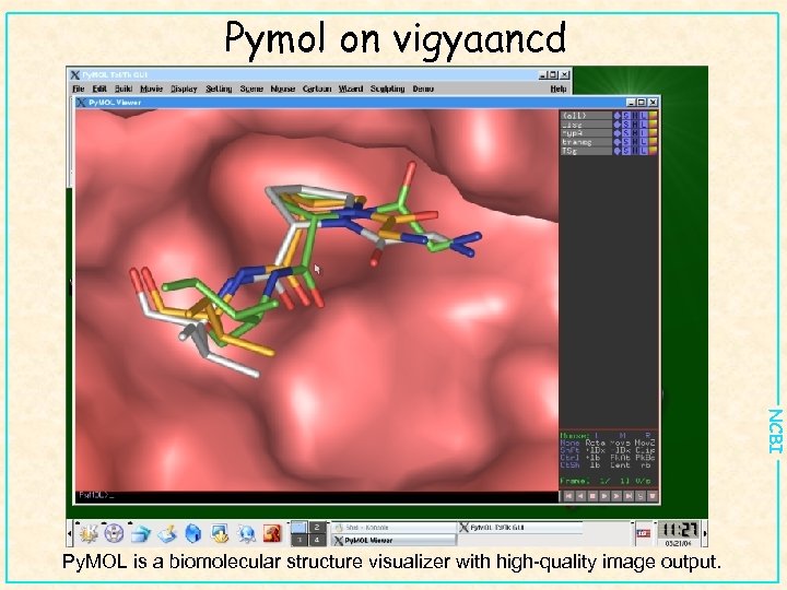 Pymol on vigyaancd NCBI Py. MOL is a biomolecular structure visualizer with high-quality image