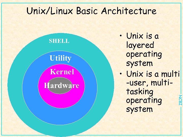 Unix/Linux Basic Architecture SHELL Utility Kernel Hardware NCBI • Unix is a layered operating