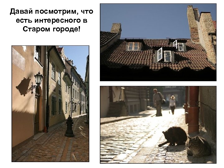 Давай посмотрим, что есть интересного в Старом городе! 