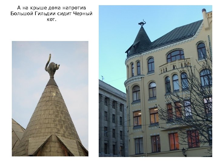 А на крыше дома напротив Большой Гильдии сидит Черный кот. 