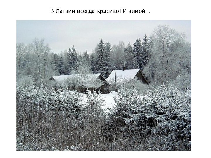 В Латвии всегда красиво! И зимой. . . 