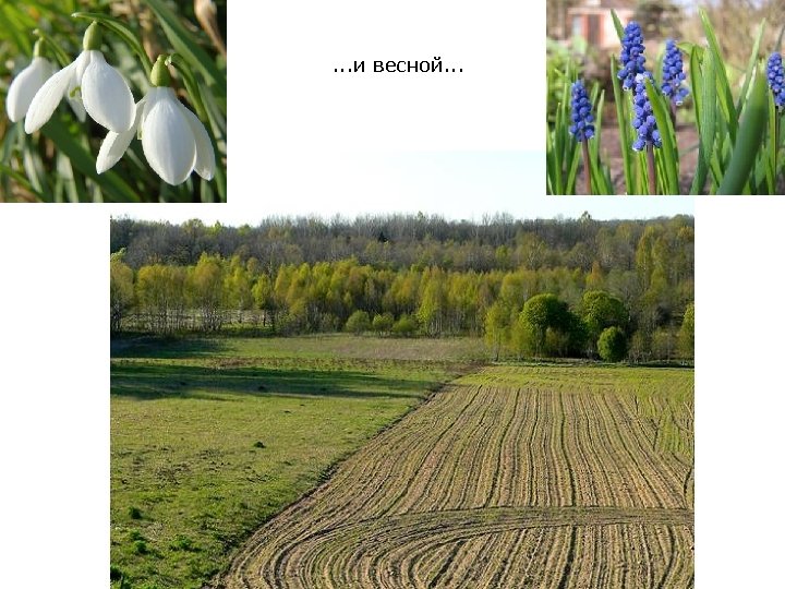 . . . и весной. . . 