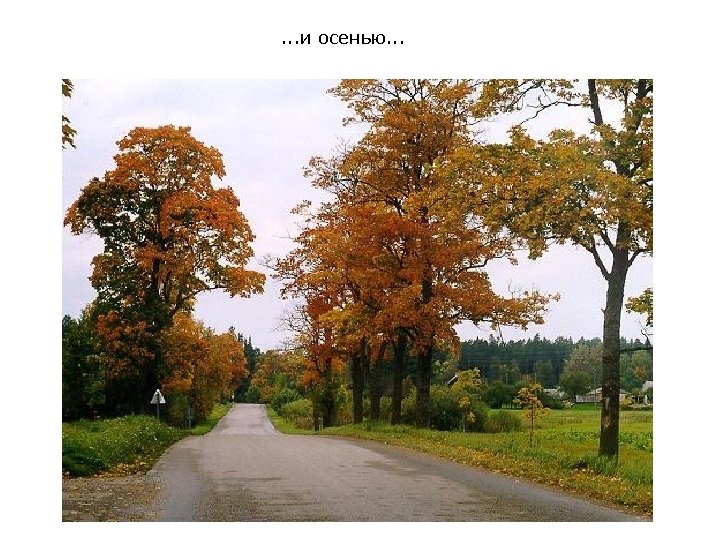 . . . и осенью. . . 