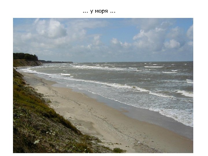 . . . у моря. . . 
