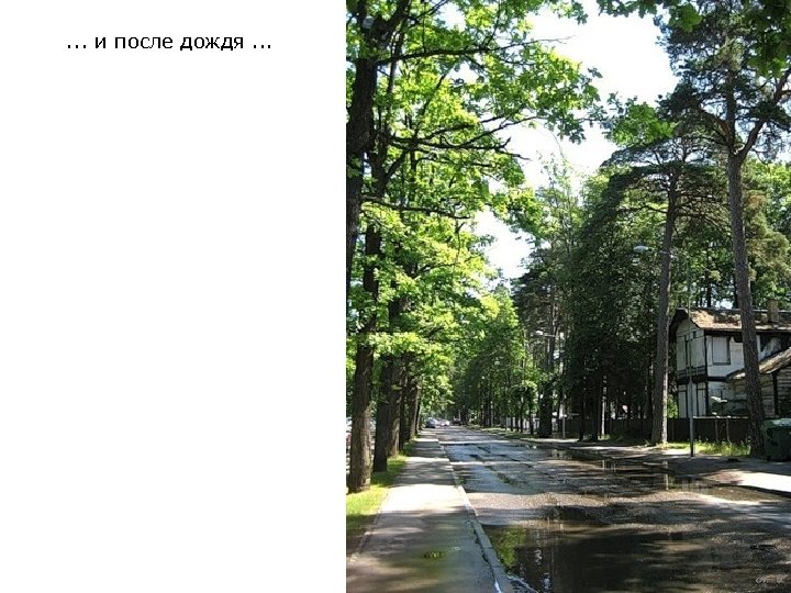 . . . и после дождя. . . 