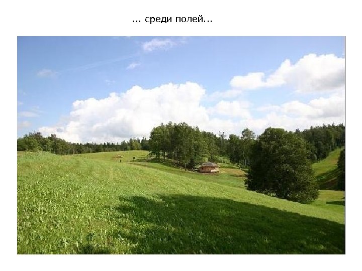 . . . среди полей. . . 