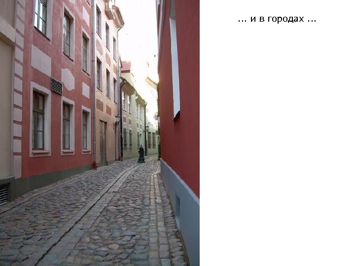 . . . и в городах. . . 