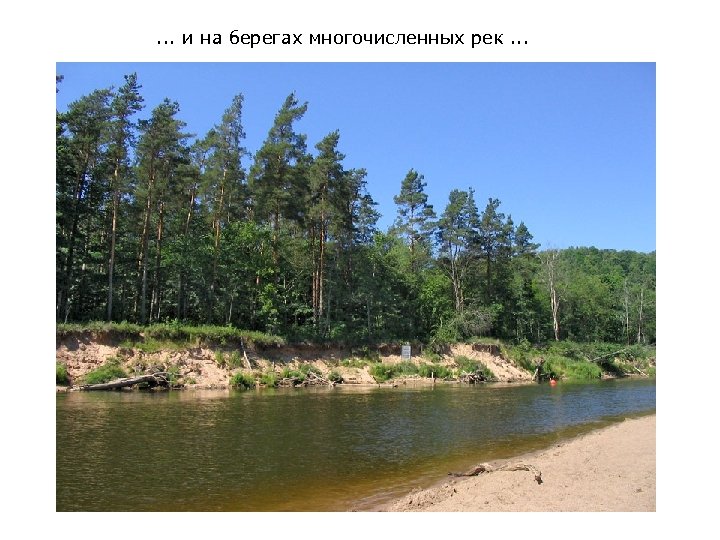 . . . и на берегах многочисленных рек. . . 