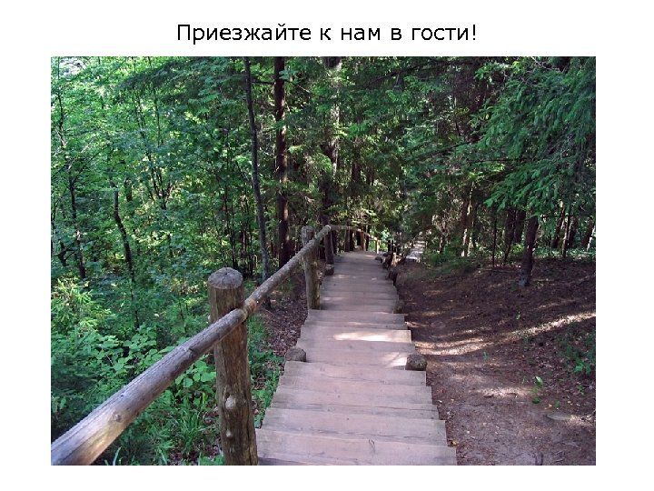 Приезжайте к нам в гости! 