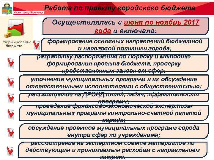Работа по проекту городского бюджета Осуществлялась с июня по ноябрь 2017 года и включала: