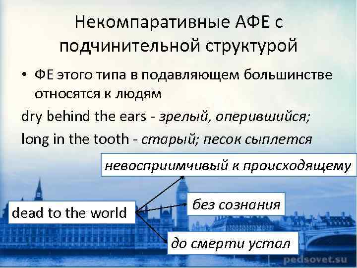 Некомпаративные АФЕ с подчинительной структурой • ФЕ этого типа в подавляющем большинстве относятся к