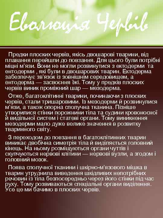 Еволюція Червів Предки плоских червів, якісь двошарові тварини, від плавання перейшли до повзання. Для