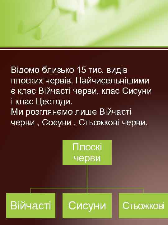Відомо близько 15 тис. видів плоских червів. Найчисельнішими є клас Війчасті черви, клас Сисуни