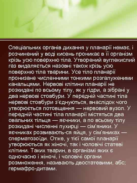  Спеціальних органів дихання у планарії немає, і розчинений у воді кисень проникає в