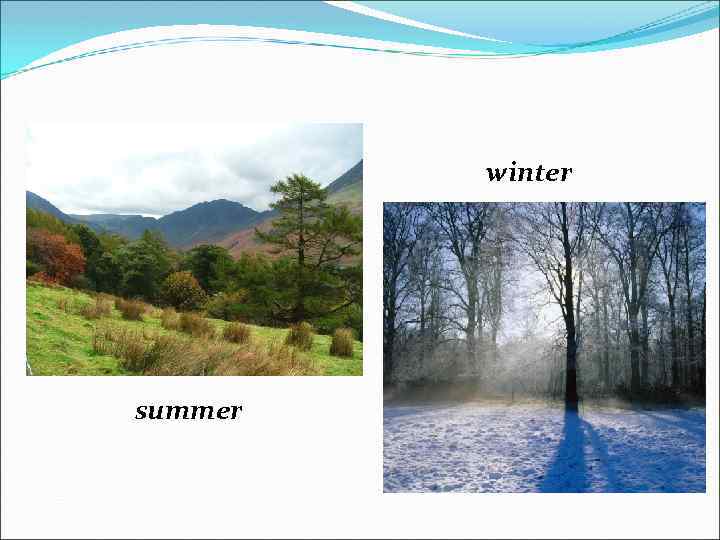 winter summer 