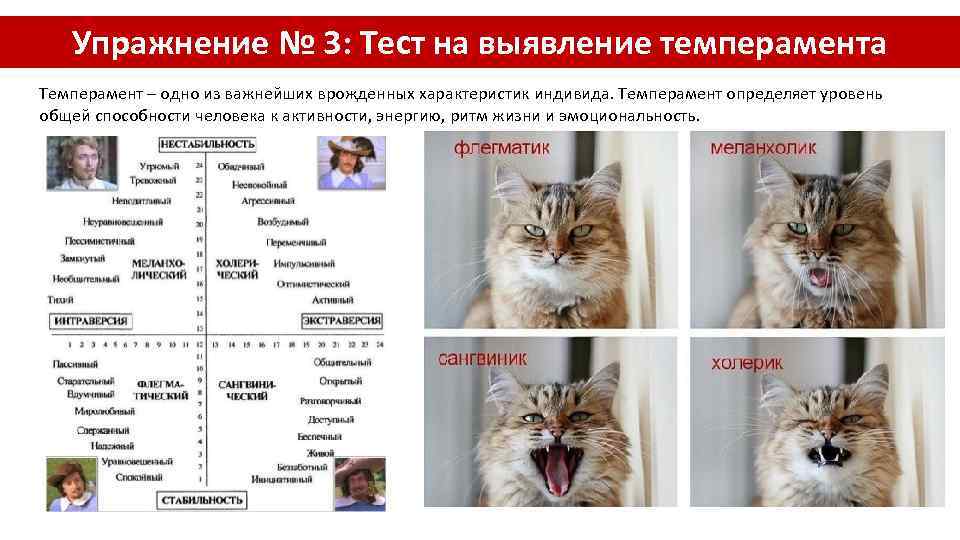 Упражнение № 3: Тест на выявление темперамента Темперамент – одно из важнейших врожденных характеристик