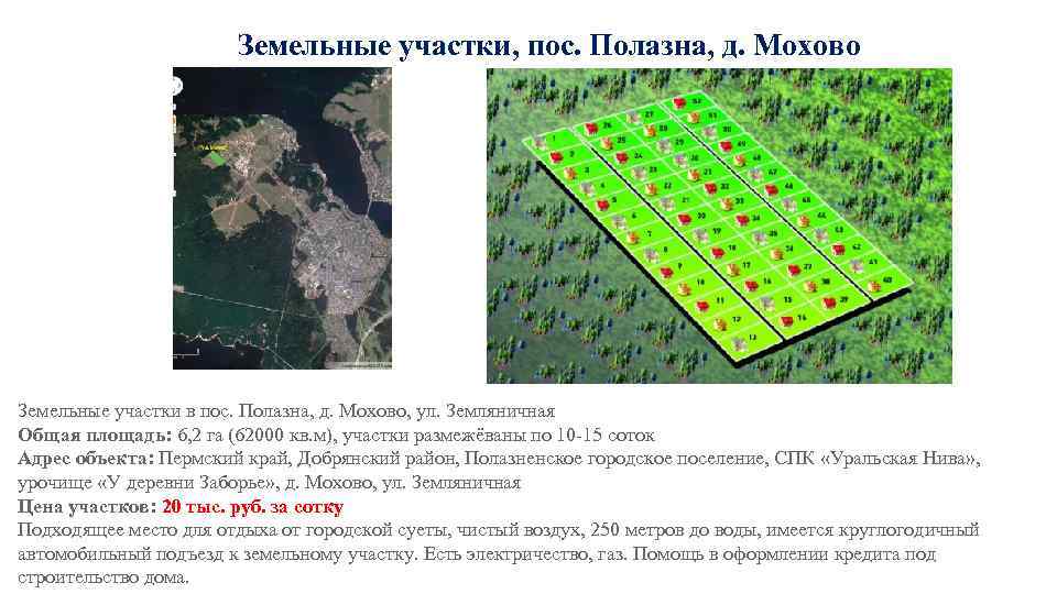 Земельные участки, пос. Полазна, д. Мохово Земельные участки в пос. Полазна, д. Мохово, ул.