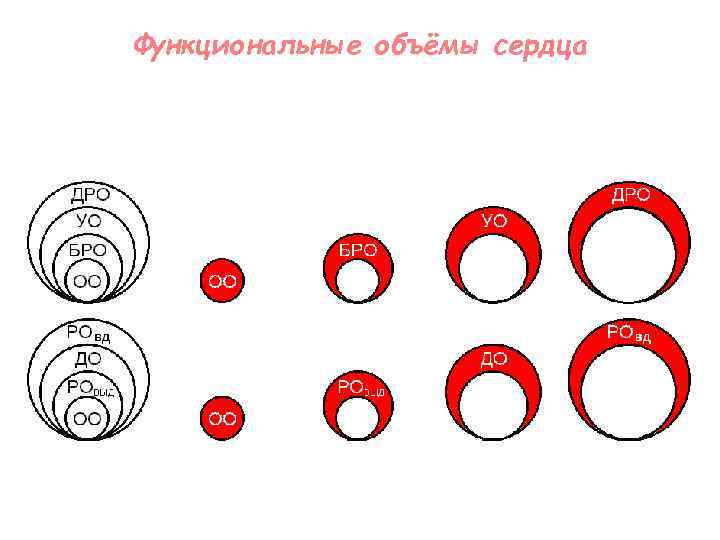 Функциональные объёмы сердца 