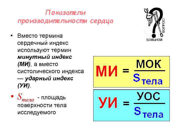 Показатели производительности сердца • Вместо термина сердечный индекс используют термин минутный индекс (МИ), а
