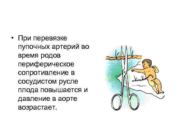  • При перевязке пупочных артерий во время родов периферическое сопротивление в сосудистом русле