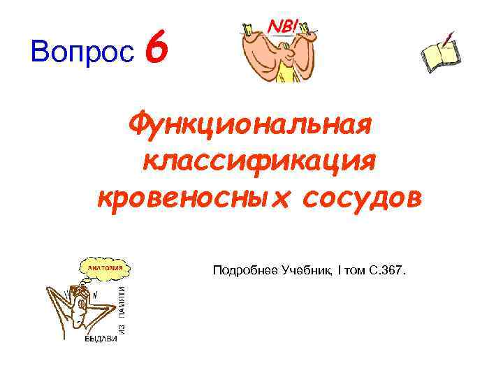 Вопрос 6 Функциональная классификация кровеносных сосудов Подробнее Учебник, I том C. 367. 