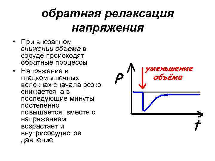 обратная релаксация напряжения • При внезапном снижении объема в сосуде происходят обратные процессы •