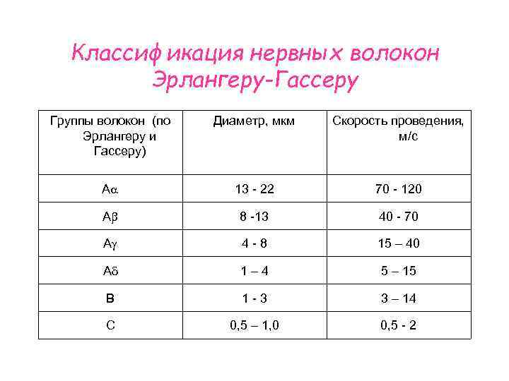 Классификация нервных волокон Эрлангеру-Гассеру Группы волокон (по Эрлангеру и Гассеру) Диаметр, мкм Скорость проведения,