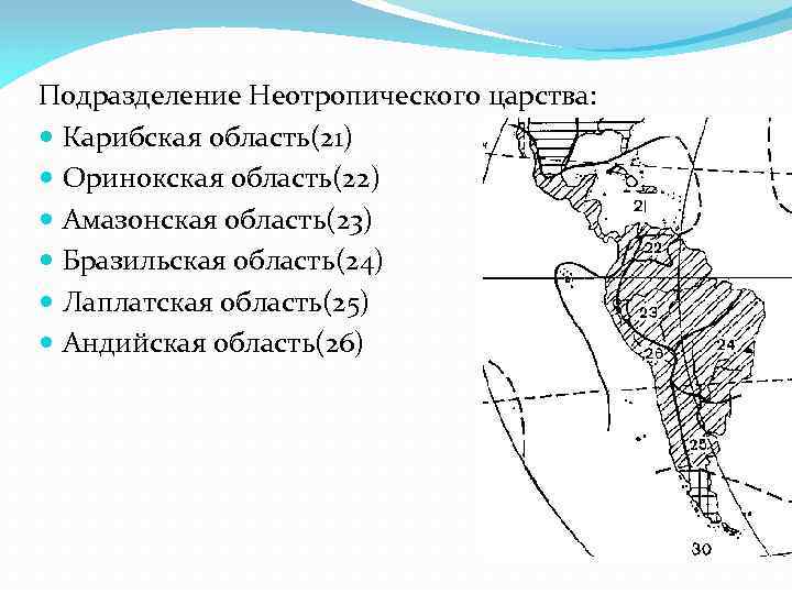 Сравните лаплатскую и оринокскую низменность по плану