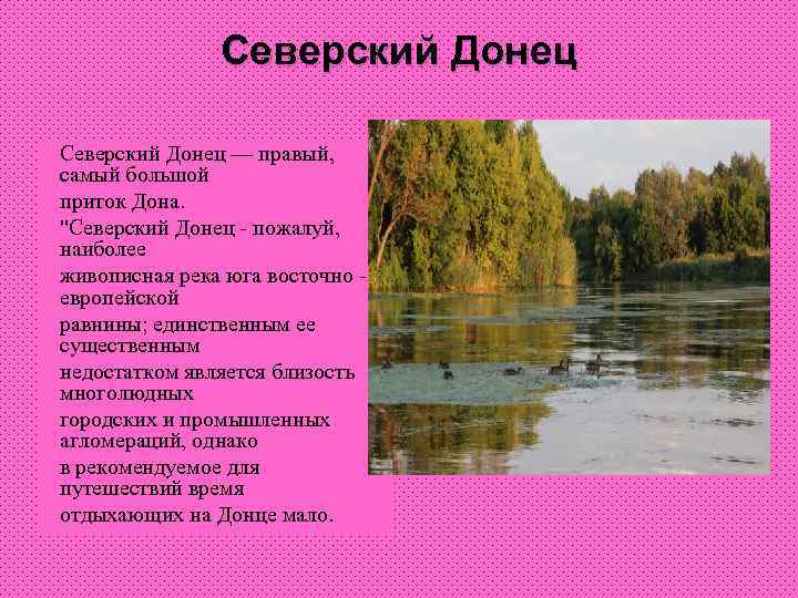Северский Донец — правый, самый большой приток Дона. "Северский Донец - пожалуй, наиболее живописная