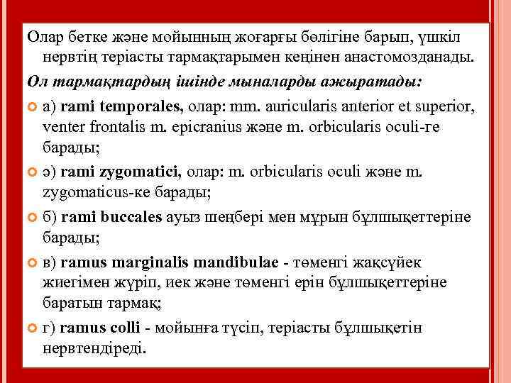 Олар бетке және мойынның жоғарғы бөлігіне барып, үшкіл нервтің теріасты тармақтарымен кеңінен анастомозданады. Ол