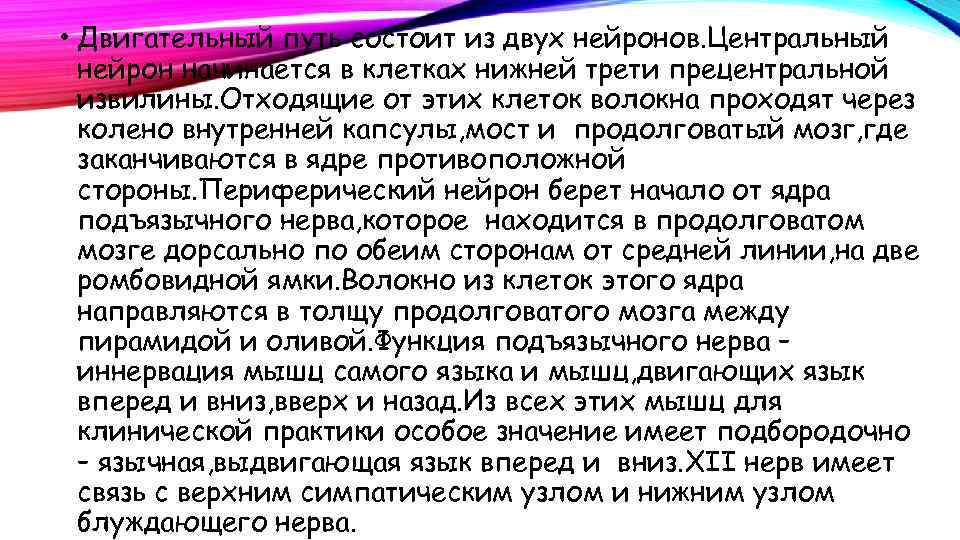  • Двигательный путь состоит из двух нейронов. Центральный нейрон начинается в клетках нижней