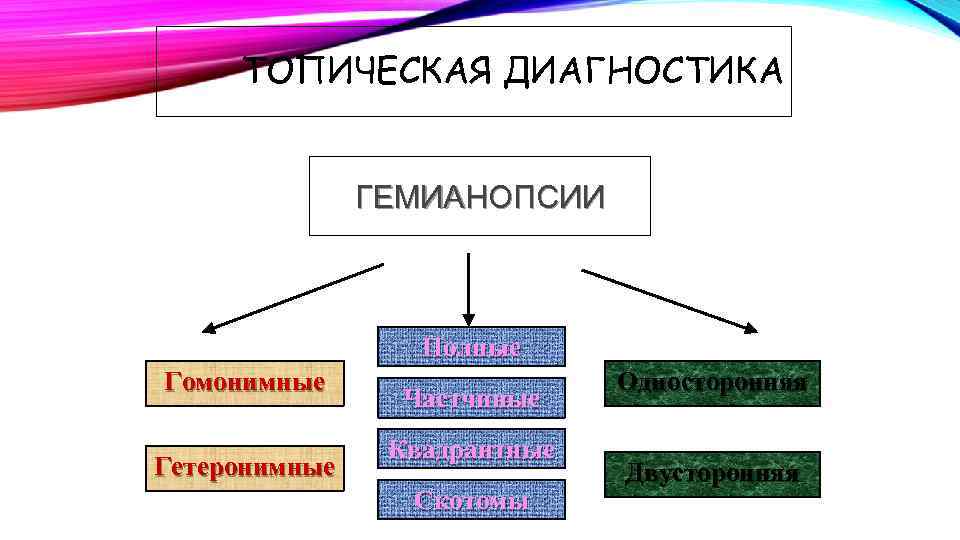 ТОПИЧЕСКАЯ ДИАГНОСТИКА ГЕМИАНОПСИИ Полные Гомонимные Гетеронимные Частчиные Квадрантные Скотомы Односторонняя Двусторонняя 