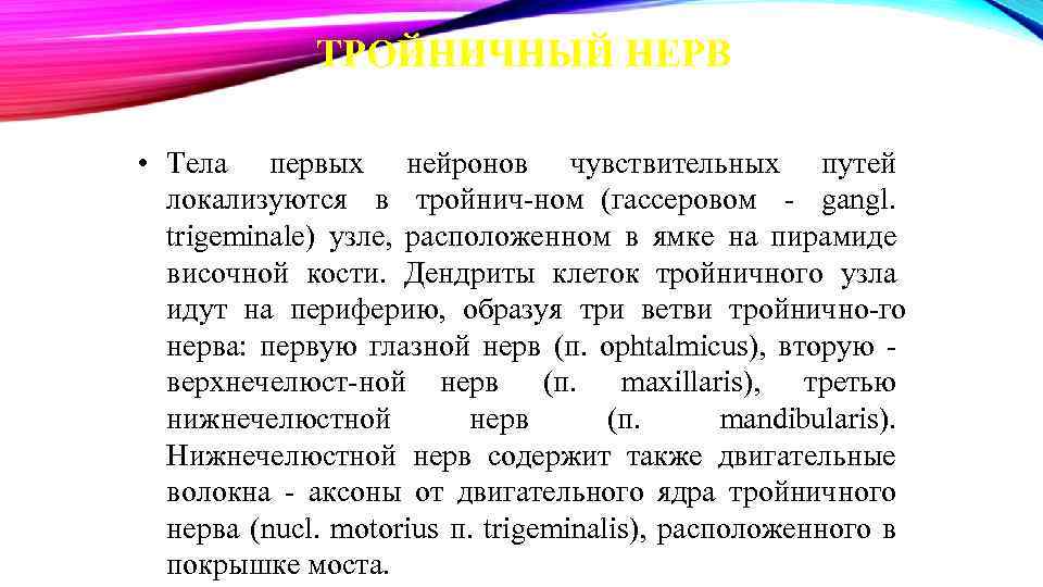 ТРОЙНИЧНЫЙ НЕРВ • Тела первых нейронов чувствительных путей локализуются в тройнич ном (гассеровом gangl.