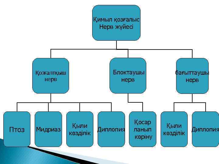 Қимыл қозғалыс Нерв жүйесі Блоктаушы нерв Қозғалтқыш нерв Птоз Мидриаз Қыли көзділік Диплопия Қосар