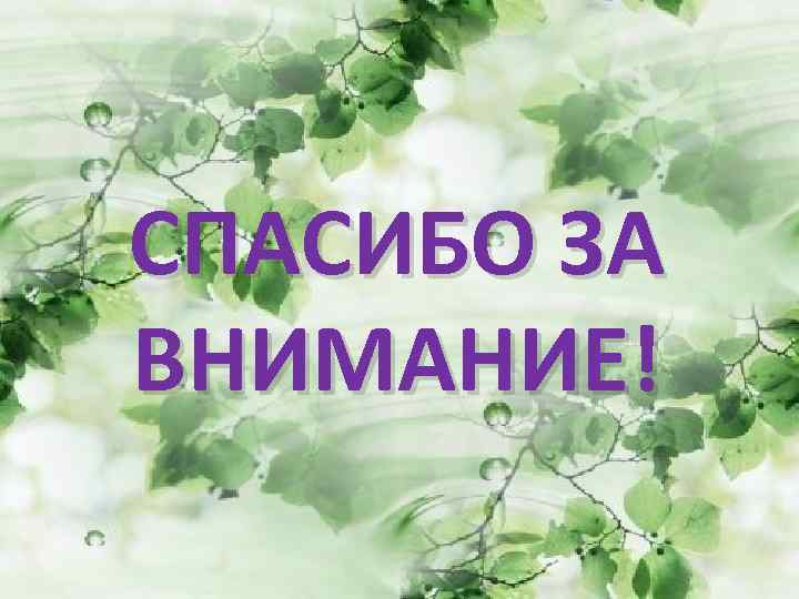 СПАСИБО ЗА ВНИМАНИЕ! 
