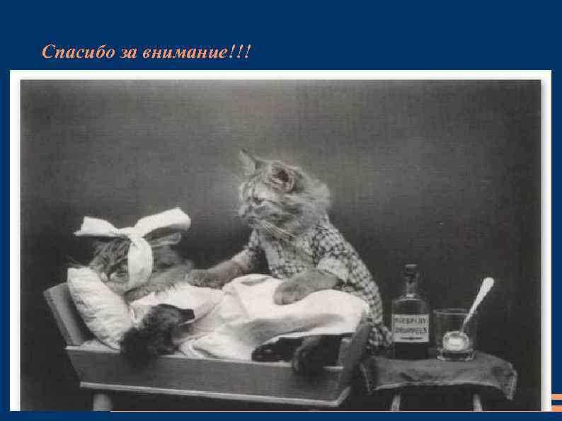 Спасибо за внимание!!! 