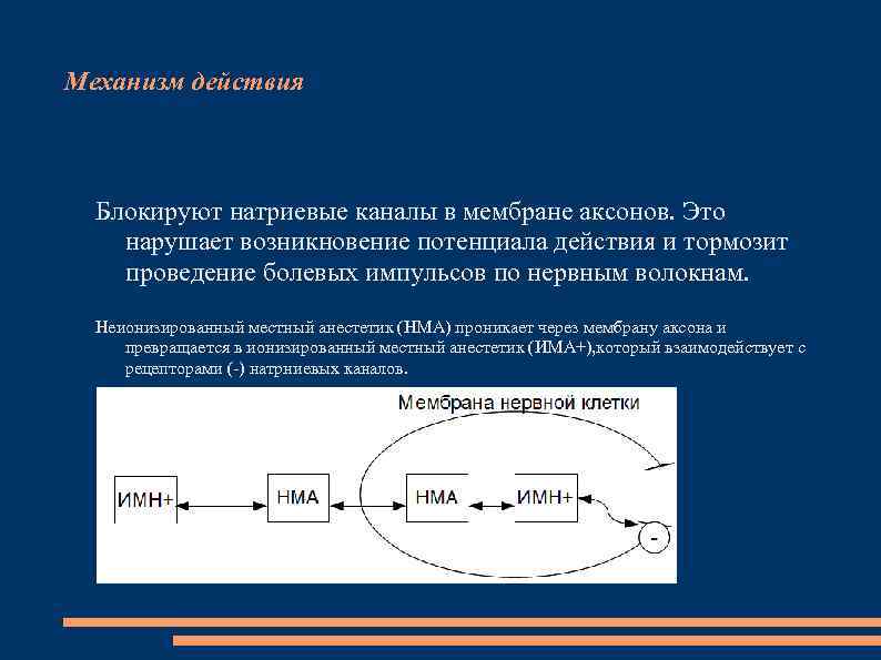 Механизм действия Блокируют натриевые каналы в мембране аксонов. Это нарушает возникновение потенциала действия и