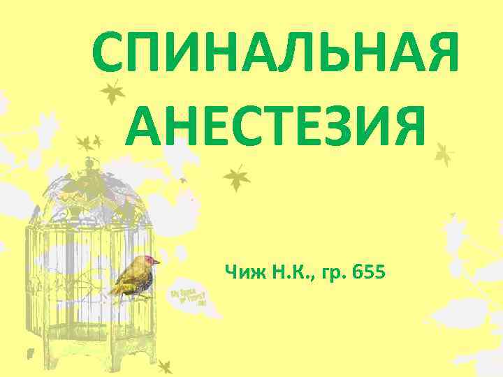 СПИНАЛЬНАЯ АНЕСТЕЗИЯ Чиж Н. К. , гр. 655 