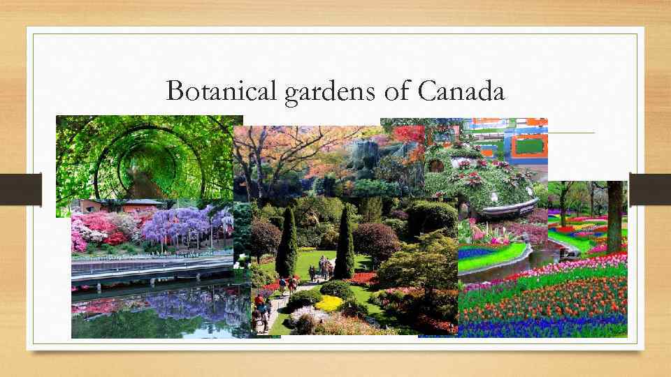 Botanical gardens of Canada 