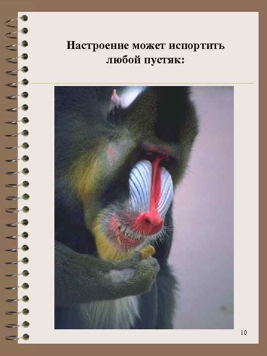 Настроение может испортить любой пустяк: 10 