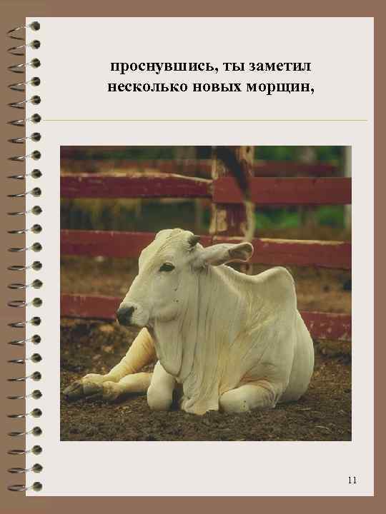 проснувшись, ты заметил несколько новых морщин, 11 