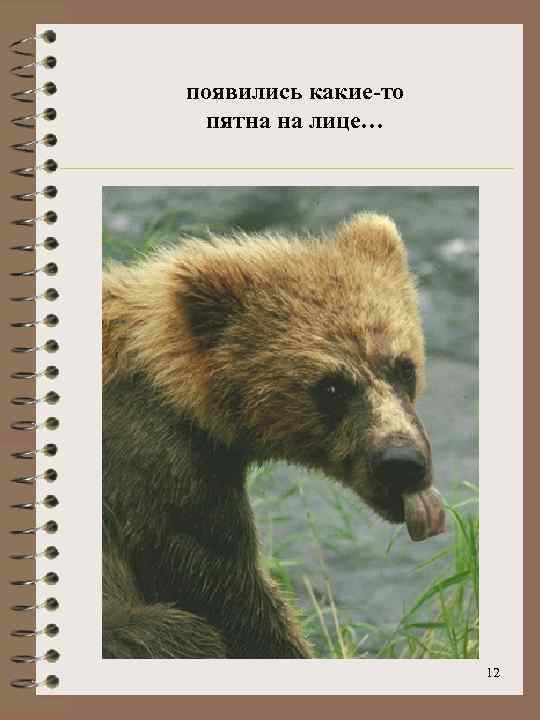 появились какие-то пятна на лице… 12 