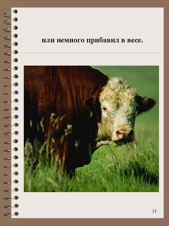 или немного прибавил в весе. 13 
