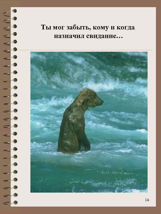 Ты мог забыть, кому и когда назначил свидание… 14 