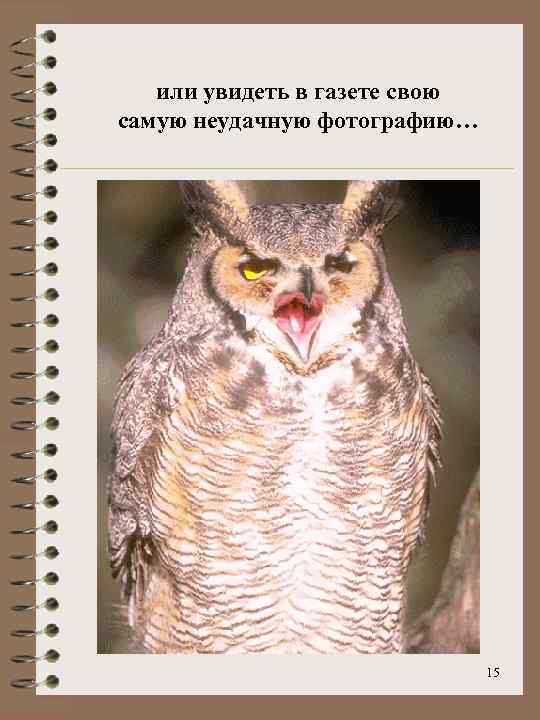 или увидеть в газете свою самую неудачную фотографию… 15 