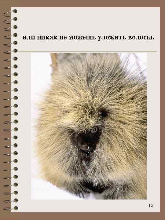 или никак не можешь уложить волосы. 16 