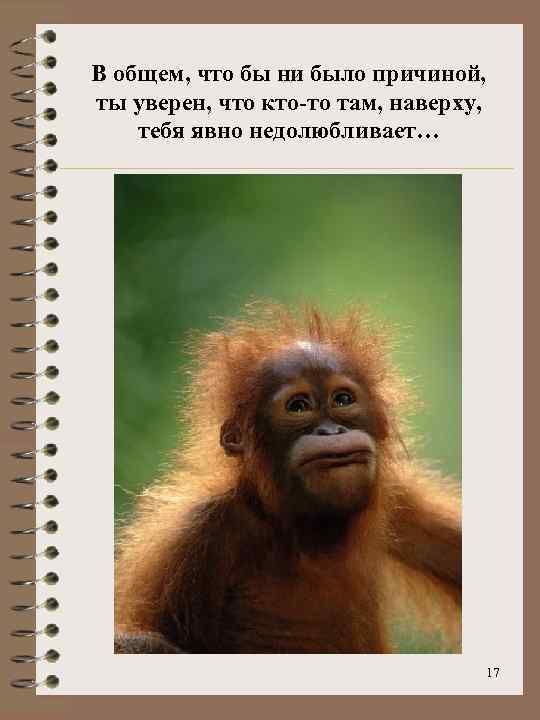В общем, что бы ни было причиной, ты уверен, что кто-то там, наверху, тебя