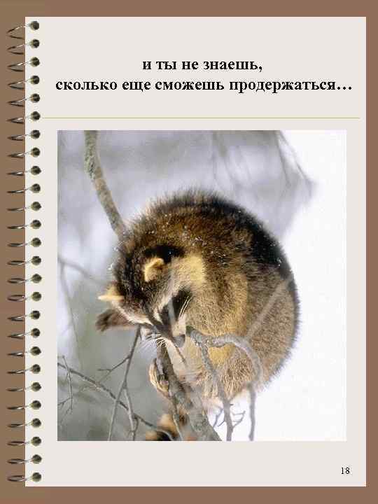 и ты не знаешь, сколько еще сможешь продержаться… 18 