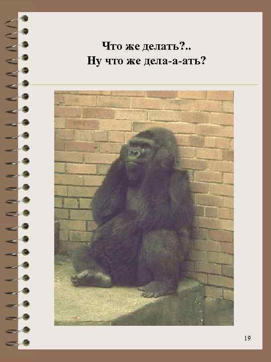 Что же делать? . . Ну что же дела-а-ать? 19 