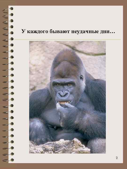 У каждого бывают неудачные дни… 2 